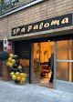 Negocio Spa Paloma